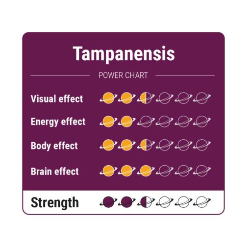 Tampanensis truffles effects chart