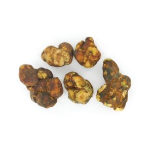 Psilocybin Atlantis Magic Truffles