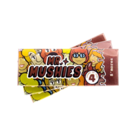 Mr mushies s’mores mushroom chocolate